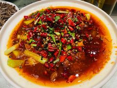 香辣美容蹄-天下春花园酒店(大东店)