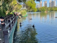 -五缘湾湿地公园