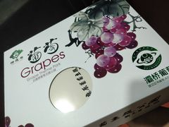 -白鹿原葡萄主题公园