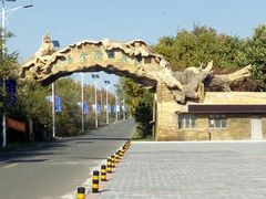 -长春莲花山滑雪场