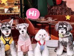 -Money Shops(愚园路店)