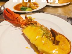 波士顿龙虾-安蒂娅·海鲜自助餐厅(安蒂娅美兰酒店)