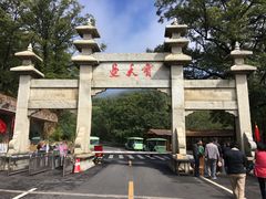 -内乡宝天曼生态旅游区