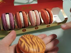 -麦当劳(新洲南路店)