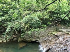 -宁波五龙潭景区