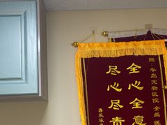 -半岛宠物医院24小时(白果林店)
