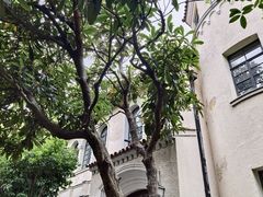 -上海安亭别墅花园酒店