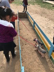 -上美四季动物农场