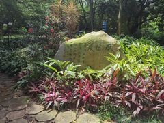 -晓港公园