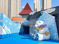 -海合安武汉极地海洋公园