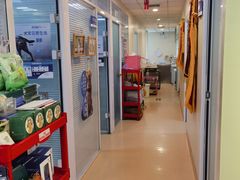 -瑞派·关忠动物医院(国瑞店)