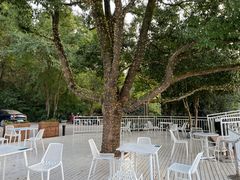 -青龙山国家森林公园