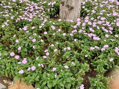 -老福庆和特色粉面馆(单洞三路店)