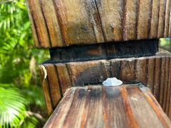 -东寨港红树林旅游区