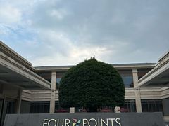 -成都安仁福朋喜来登酒店