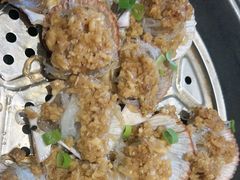 -海派美食·家宴海鲜青岛菜·石锅鲽鱼头(东方城店)