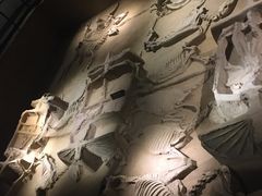 -洛阳周王城天子驾六博物馆