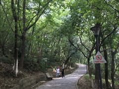 -峙山公园