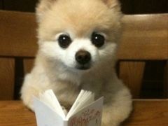 -远洋未来广场(育慧北路店)