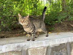 -北京西山国家森林公园