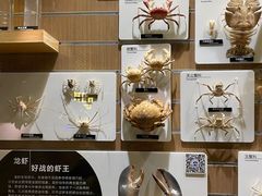 -青岛海底世界-水族馆