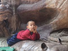 -长鹿旅游休博园