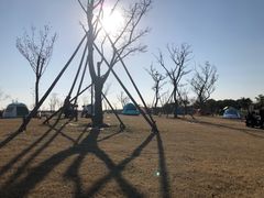 -春花秋色城市公园