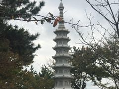 -海东龙宫寺