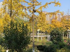 -汉景帝阳陵博物院
