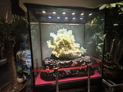 -燕春楼(海河华鼎店)