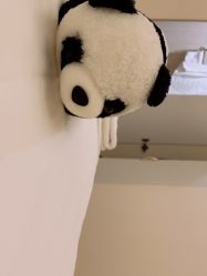 -美丽田园Beauty Farm