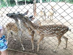 -海南热带野生动植物园