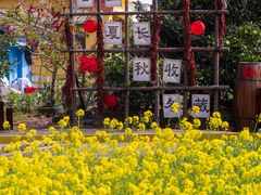 -宁波九龙湖开元度假村