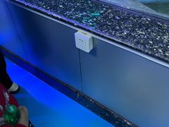 -泉城欧乐堡海洋极地世界