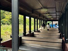 -济州森林小火车生态公园