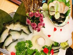 -一本钓鲔鱼屋