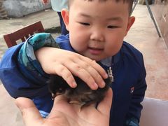 -湖南东洞庭湖国家级自然保护区