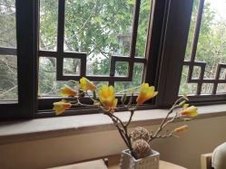 -莲生母婴月子中心(清水河公园店)