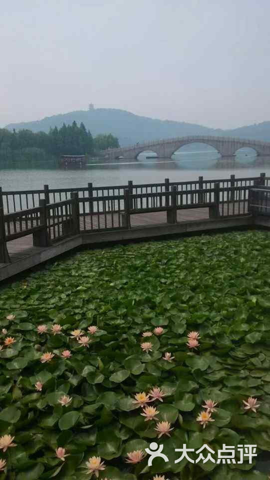 山水江南茶膳舫的全部点评-无锡-大众点评网