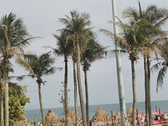 -大梅沙海滨公园