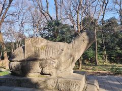 -灵谷景区
