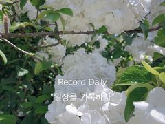 -杭州城北体育公园