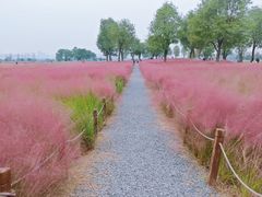 -汉长安城未央宫国家考古遗址公园