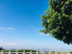 -火炉山森林公园