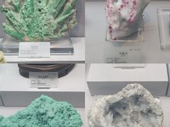 -湖南省地质博物馆