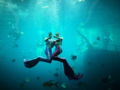 -瑞德姆美人鱼海底演艺主题餐厅(亚龙湾店)