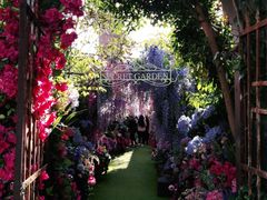 -The Grounds of Alexandria