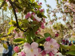 -元大都城垣遗址公园