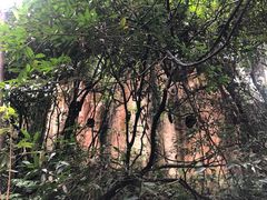 -天门沟九州驿站树上汤泉