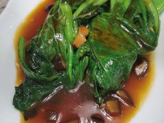 蚝油菜心-四道菜·福建菜馆(新街口金鹰店)